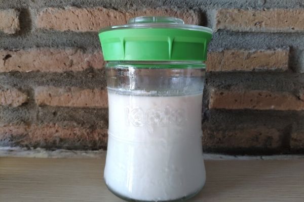 El kéfir de leche  Receta y propiedades - Blog sobre ecología