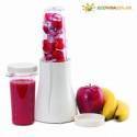 Tribest Personal Blender