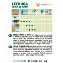  Semillas-lechuga-reina-de-mayo-bio-Rocalba-Ecovidasolar