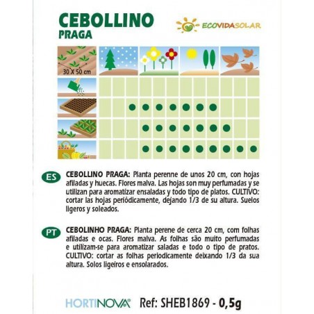  Semillas-cebollino-praga-bio-Rocalba-Ecovidasolar