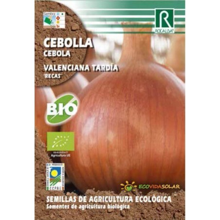 Semillas-cebolla-valenciana-recas-bio-Rocalba-Ecovidasolar