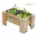 Jardinera de madera natural con hojas verdes variadas perfecta para un macetohuerto.