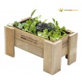 Jardinera de madera natural con hojas verdes variadas perfecta para un macetohuerto.