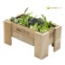 Jardinera de madera natural con hojas verdes variadas perfecta para un macetohuerto.