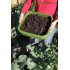  Vermicompostador-Hungry-Bin-Ecovidasolar-1