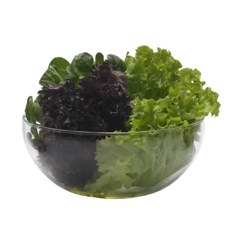Bowl de vidrio con diversas hojas verdes frescas, ideal para comidas sanas.