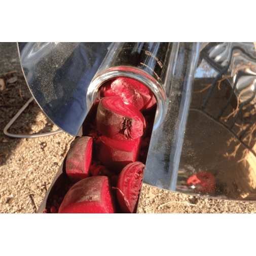 Rebanadas de remolacha cocinándose en un Gosun Sport, un eficiente horno solar que refleja la luz del sol.