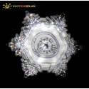 Jarra Vitalizadora Galileo Gemas - Natures Design