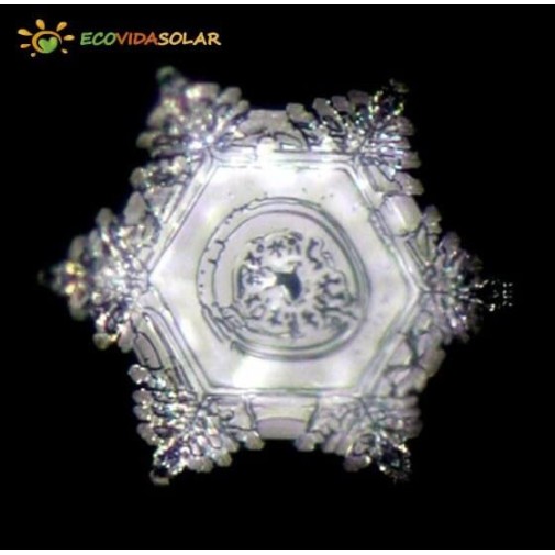 Jarra Vitalizadora Galileo Gemas - Natures Design