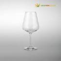 Una copa de vino de alta calidad con el logotipo "Ecovidasolar" sobre fondo gris.