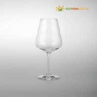 Una copa de vino de alta calidad con el logotipo "Ecovidasolar" sobre fondo gris.
