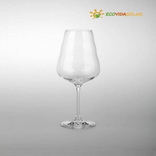 Una copa de vino de alta calidad con el logotipo "Ecovidasolar" sobre fondo gris.
