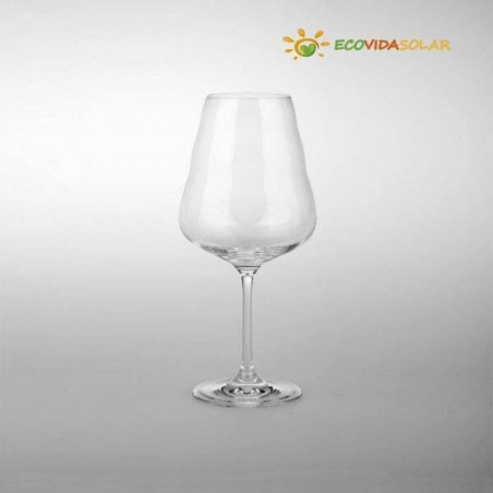 Una copa de vino de alta calidad con el logotipo "Ecovidasolar" sobre fondo gris.