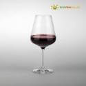 Una copa de vino tinto sobre fondo gris con el logo "ECOVIDASOLAR".