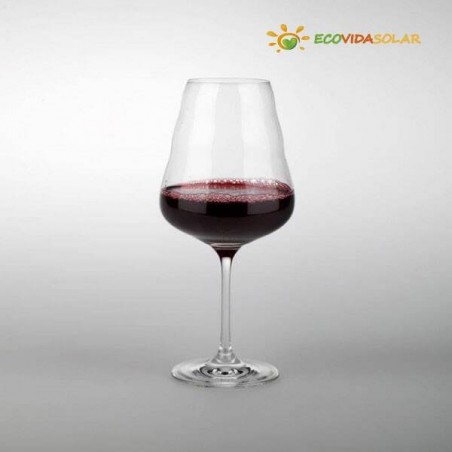 Una copa de vino tinto sobre fondo gris con el logo "ECOVIDASOLAR".