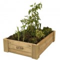 Cajón de cultivo de madera natural con plantas verdes y tierra.