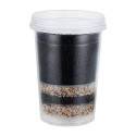 Tierra en capas y semillas en una taza transparente, perfecta para tu viaje a través de los antioxidantes.