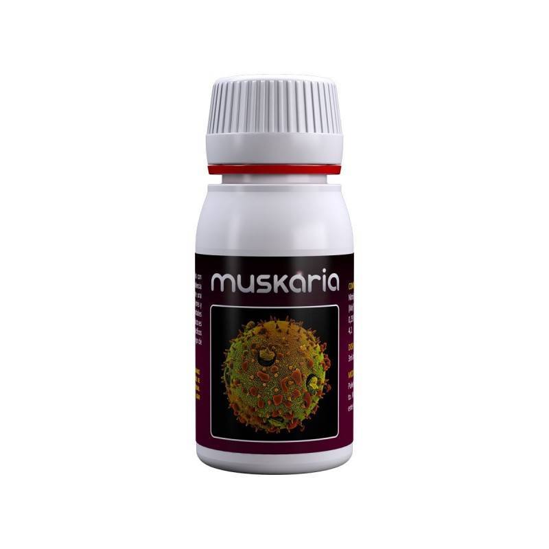 Muskaria - Agrobacterias - Ecovidasolar