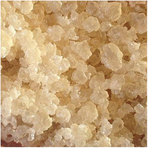 Gránulos de kéfir de agua Kefirko