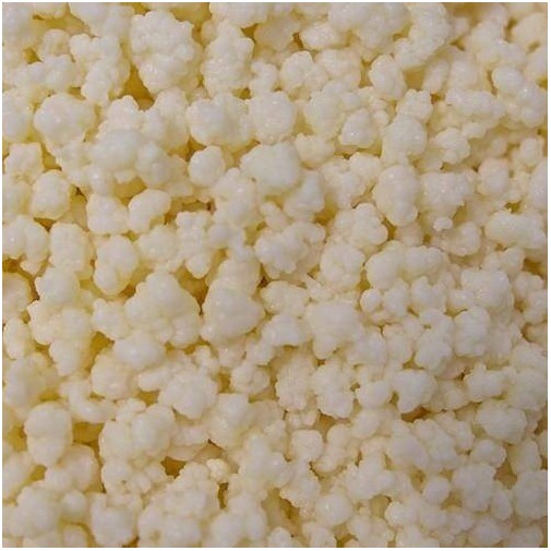 Gránulos de Kéfir de Leche Kefirko