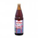 Kombucha bio - VOELKEL