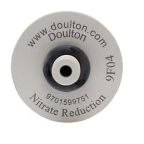 Recambio filtro Fluoride - Doulton