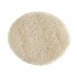 primer plano de 1 disco para peeling facial de lufa de Croll and Denecke