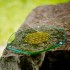 Bandeja flor de la vida oro Natures Design sobre piedra donde se ve el contraste de la flor de la vida