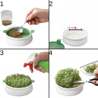 Instrucciones de cómo germinar semillas en el Plato cerámico Germline