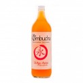 bio kombucha té rojo 1L