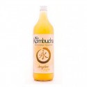 Botella de vidrio de la Bio Kombucha Jengibre 1 litro