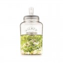 Set de tarro de vidrio para fermentar vegetales de Kilner de 5 litros