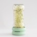 Bote largo de vidrio usando las Tapas germinadoras Sprout Food Huggers para germinar semillas.