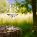 Copa de vino Calix 500 ml al aire libre sobre madera, con vegetación detrás para crear un fondo sereno.