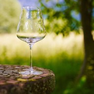 Copa de vino Calix 500 ml al aire libre sobre madera, con vegetación detrás para crear un fondo sereno.