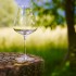 Copa de vino Calix 500 ml al aire libre sobre madera, con vegetación detrás para crear un fondo sereno.