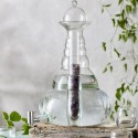 Elegante dispensador de agua de vidrio Beauty de 5L, con cristal en su interior, sobre madera rústica, rodeado de hojas.