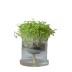 Maceta borosilicato autorriego 8 cm modelo básico