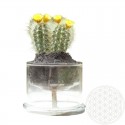 Maceta borosilicato autorriego 13 cm con el símbolo de la flor de la vida grabado