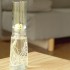 Jarrón borosilicato Autorriego Alto 9 cm con árbol de aguacate detalle ampliado de las raíces