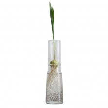 Jarrón borosilicato Autorriego Alto 9 cm modelo básico con bulbo