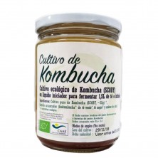 Bote de vidrio con rosca con SCOBY Kombucha disco bio de 250 ml