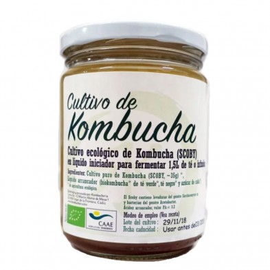 Bote de vidrio con rosca con SCOBY Kombucha disco bio de 250 ml Bote de vidrio con rosca con SCOBY Kombucha disco bio de 250 ml