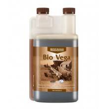 Bio Vega - Canna