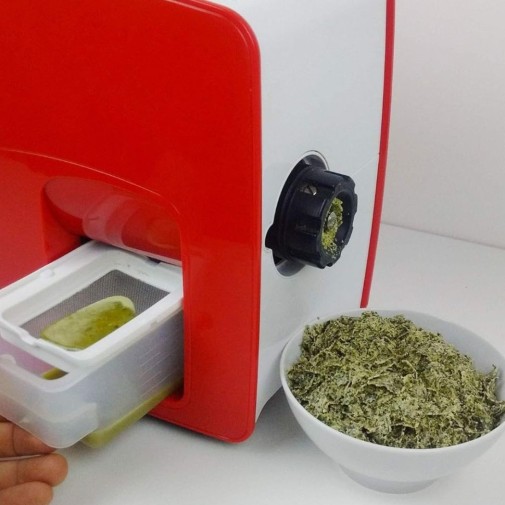 Consiguiendo aceite de calabaza con el Extractor de aceite vegetal Yoda