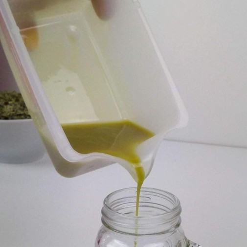 Aceite recién hecho de semillas de calabaza con el Extractor de aceite vegetal Yoda gris