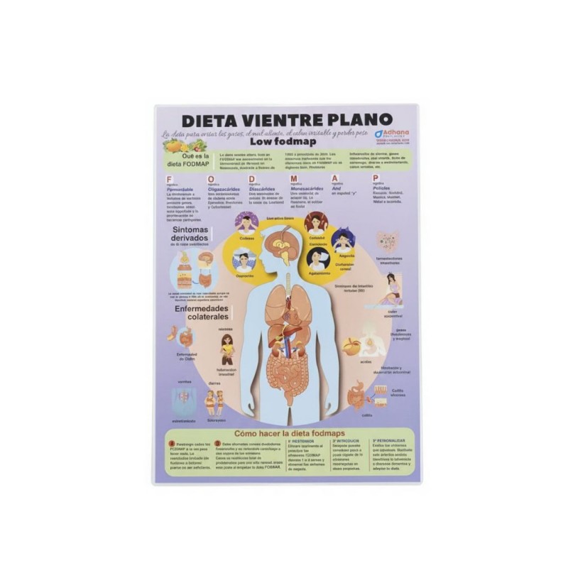 Lámina vientre plano página frontal