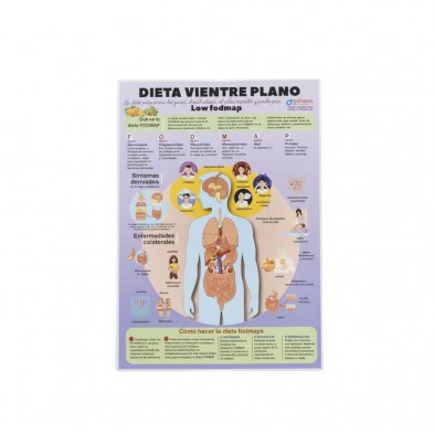 Lámina vientre plano página frontal Lámina vientre plano página frontal