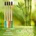 Los Cepillos de dientes de bambú con carbón activado Biocenter sobre un fondo natural con plantas de bambú