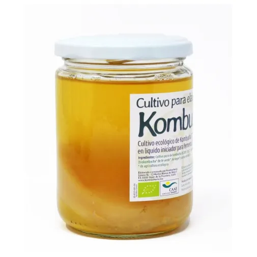 SCOBY Kombucha disco bio ecológico para fermentar en casa